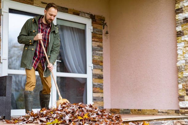 Best Yard Waste Removal  in La Mirada, CA